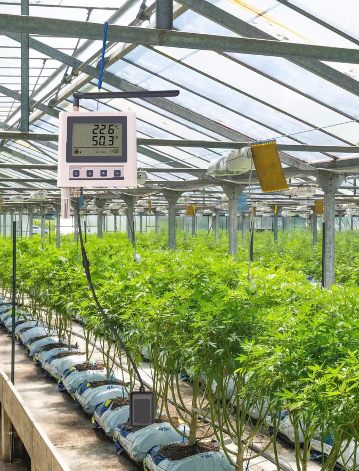 d5cfe48a373d633aa0066e375fc62d35.jpg d5cfe48a373d633aa0066e375fc62d35.jpg